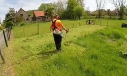 Кусторез STIHL FS-490 C-EM K (41482000011)