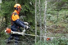 Кусторез STIHL FS 490 C-EM (41482000004)