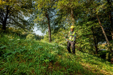 Триммер аккумуляторный METABO FSB 36-18 LTX BL 40 (601611850) [18В, без акб и з/у]