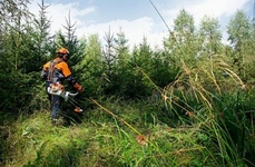 Кусторез STIHL FS 490 C-EM (41482000004)